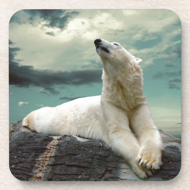White Polar Bear Hunter on rock Beverage Coaster (Front)