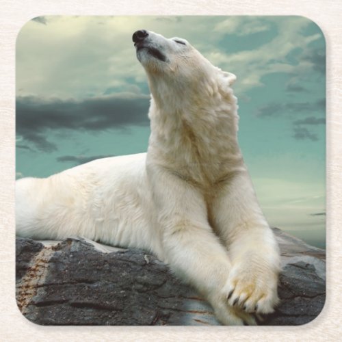 White Polar Bear Hunter on rock Square Paper Coaster