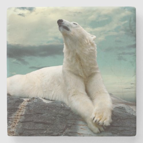 White Polar Bear Hunter on rock Stone Coaster