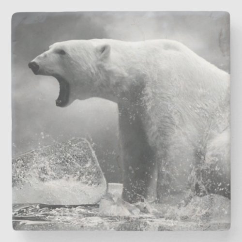 White Polar Bear Hunter on the Ice in water Stone Coaster
