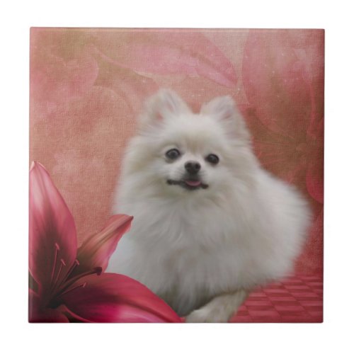 White Pomeranian Dog Flowers Animal Ceramic Tile