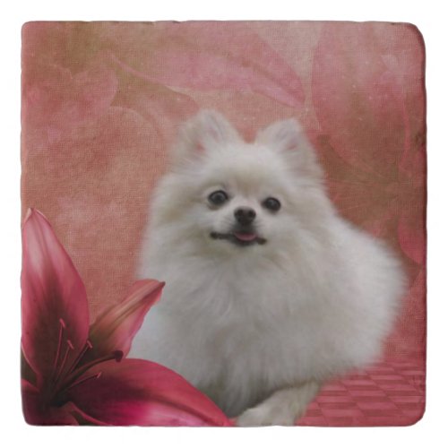 White Pomeranian Dog Flowers Animal Trivet