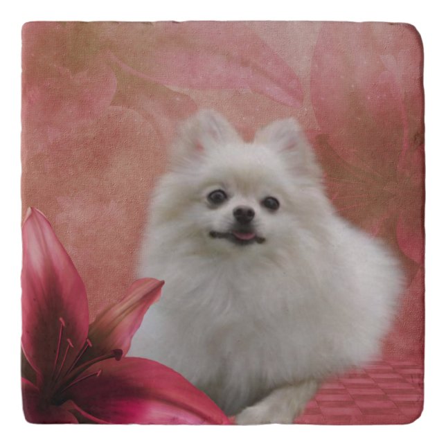 White Pomeranian Dog Flowers Animal Trivet (Front)
