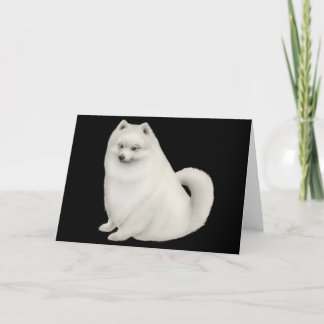 White Pomeranian Dog Greeting Card