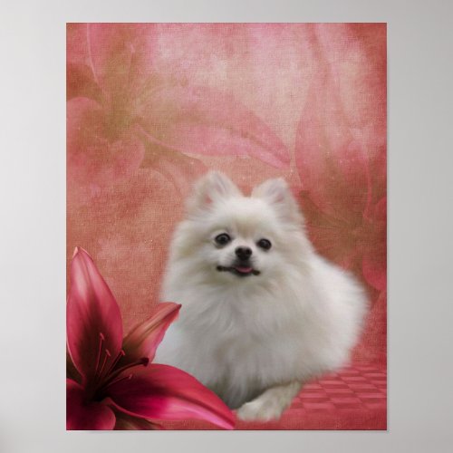 White Pomeranian Dog Lily Flowers Animal Art Poster
