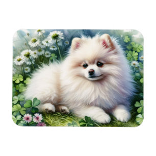 White Pomeranian Dog Watercolor Clover Flexible Magnet