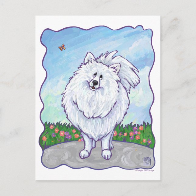 White Pomeranian Gifts & Accessories Postcard (Front)