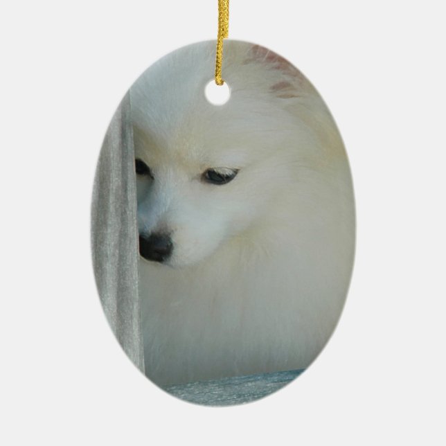 White Pomeranian  Ornament (Front)