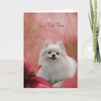 White Pomeranian Red Lily Dog Art Photo Card by SmilinEyesTreasures at Zazzle
