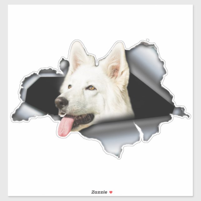 White Pomeranian sticker, car decal, Pomeranian  Sticker (Sheet)