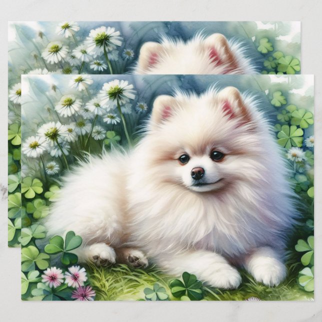 White Pomeranian Watercolor Clover Scrapbook Paper (Front/Back)