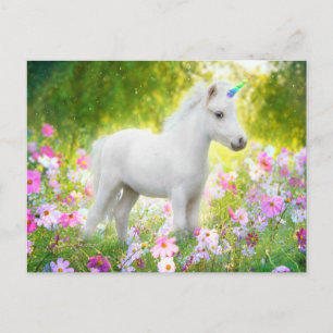 White Pony Unicorn Postcard