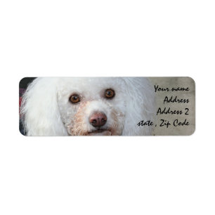 White Poodle Address Labels