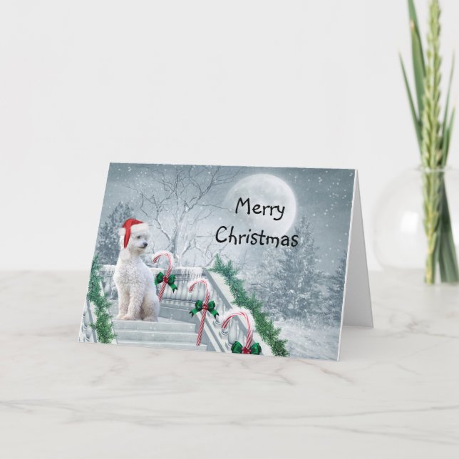 White Poodle Christmas Holiday Card (Front)