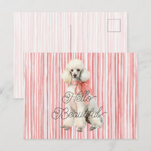 White Poodle Dog Hello Beautiful Postcard