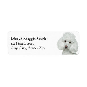 White Poodle Dog Pet Animal Label