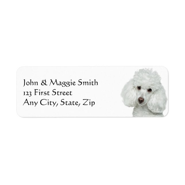 White Poodle Dog Pet Animal Label (Front)