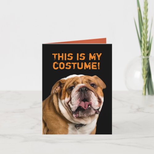 White Poodle Dressed as a Bulldog Halloween Card