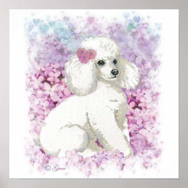 White Poodle in Lilacs Poster Print (Front)