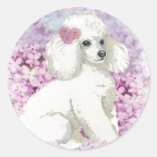 White Poodle in the Lilacs Art and Gifts Classic Round Sticker