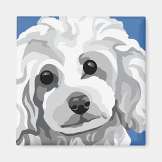 White Poodle Magnet