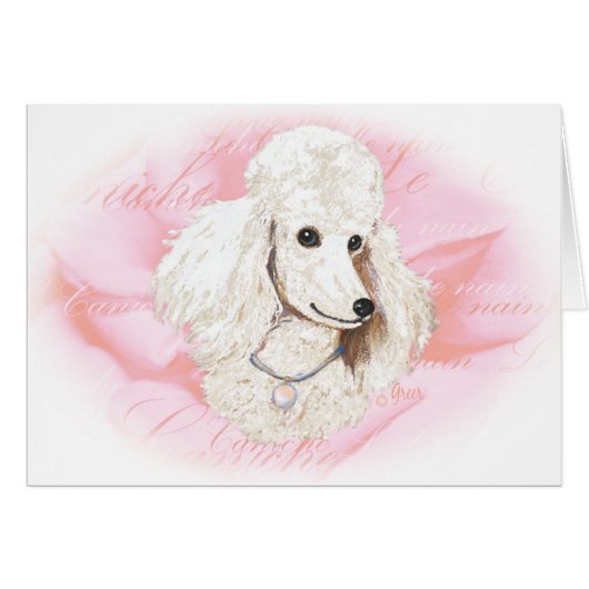 White Poodle n Rose Portrait Cards (Front Horizontal)