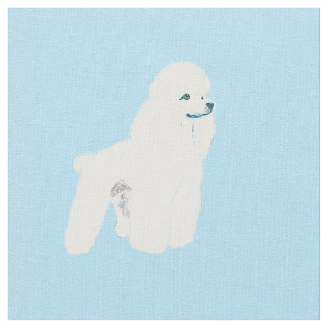 White Poodle on Blue Fabric (Close Up)