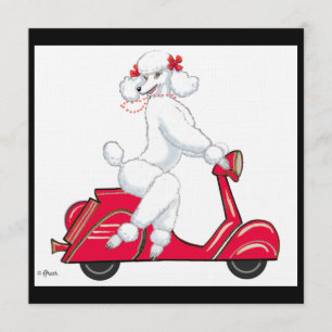 White Poodle on Scooter Invitation