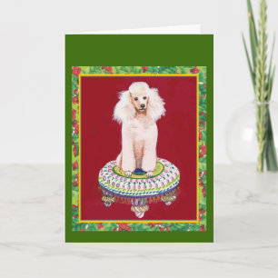 White Poodle on Stool Christmas Greetings Holiday Card