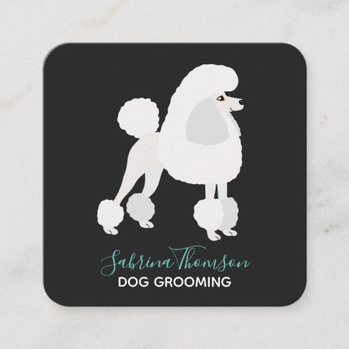White Poodle Pet Grooming Square Business Card