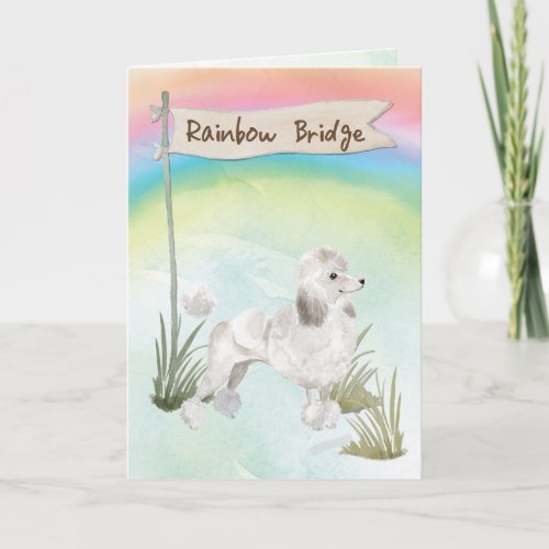 White Poodle Pet Sympathy Over Rainbow Bridge Card