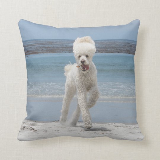 poodle plush pillow