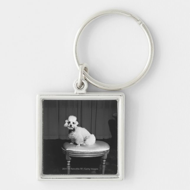 White poodle sitting on stool B&W Keychain (Front)
