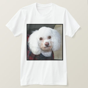 White poodle T-shirt