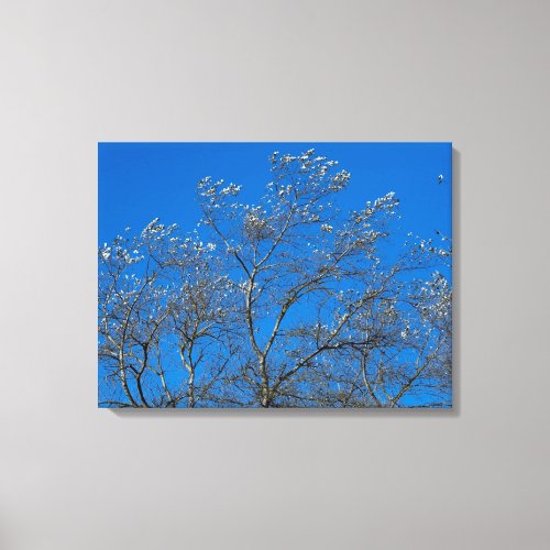 White Poplar Tree Wrapped Canvas Art