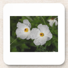 White Poppies Botanical Flower Beverage Coaster