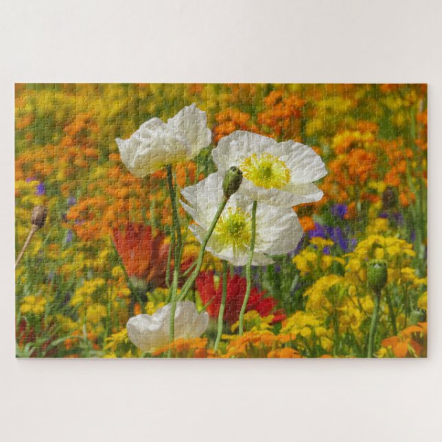 White poppies growing around the colorful flowers jigsaw puzzle (Horizontal)