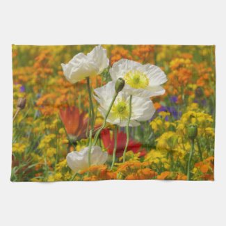 White poppies growing around the colorful flowers