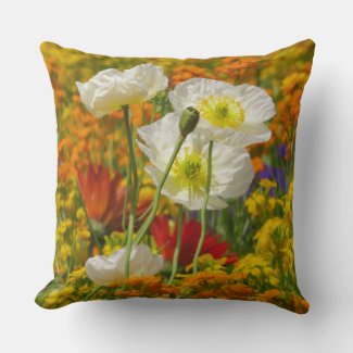 White poppies growing around the colorful flowers