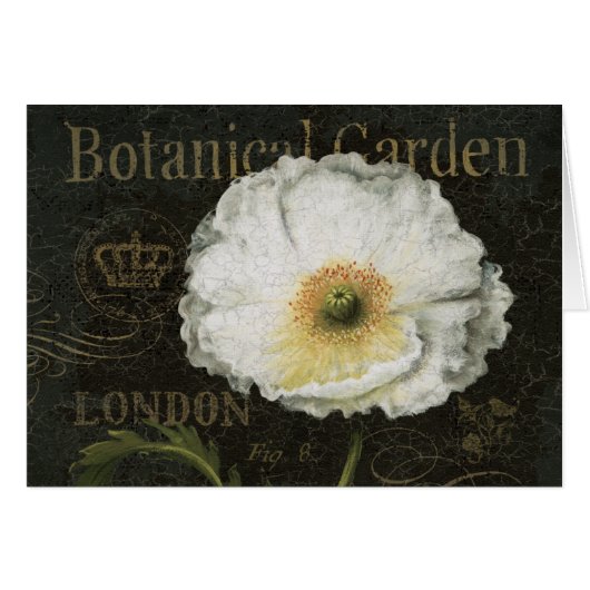 White Poppy Blossom Cards (Front Horizontal)