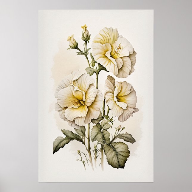 White Primrose Flowers Art Print Poster (Front)