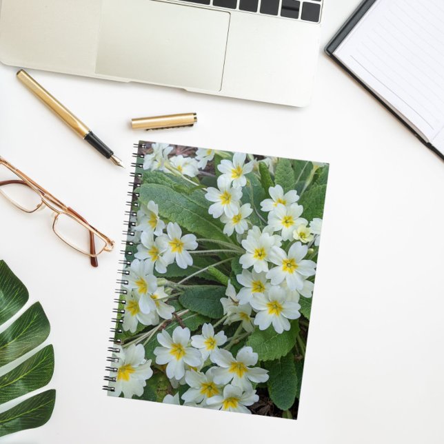 White Primroses with Yellow Centers Floral Notebook (In Situ)