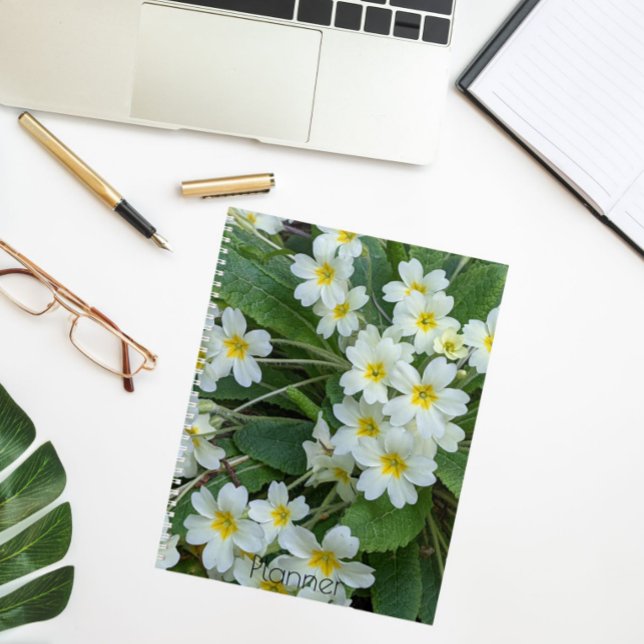 White Primroses with Yellow Centers Floral Planner (In Situ)