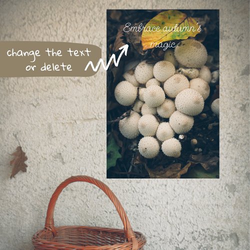 White puffball mushrooms among autumn leaves poster