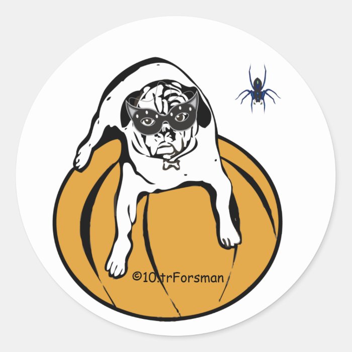 White pug masked on pumpkin with spider Sticker