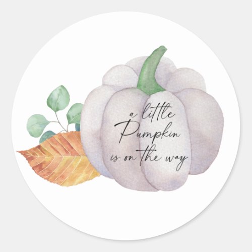 White pumpkin autumn Little pumpkin is on the way Classic Round Sticker