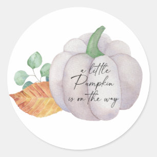 White pumpkin autumn, Little pumpkin is on the way Classic Round Sticker