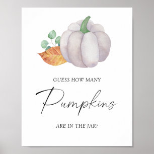 White pumpkin -guess how many pumpkins poster