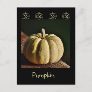 White Pumpkin Mini Gourd Fall Postcard