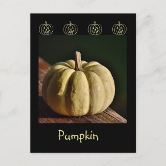 White Pumpkin Mini Gourd Fall Postcard